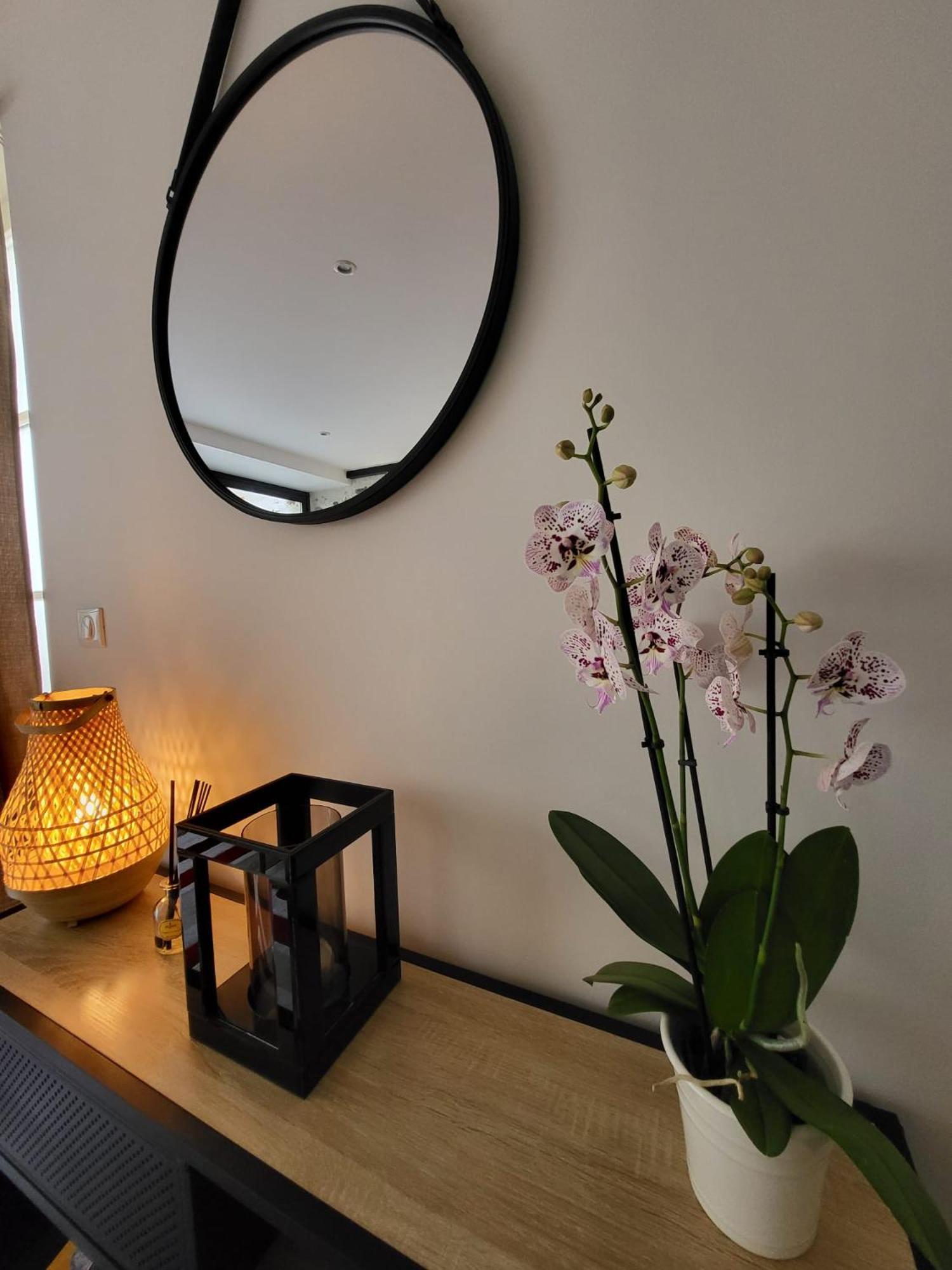Le Patio - Appartement Calme - Hyper Centre פאו מראה חיצוני תמונה